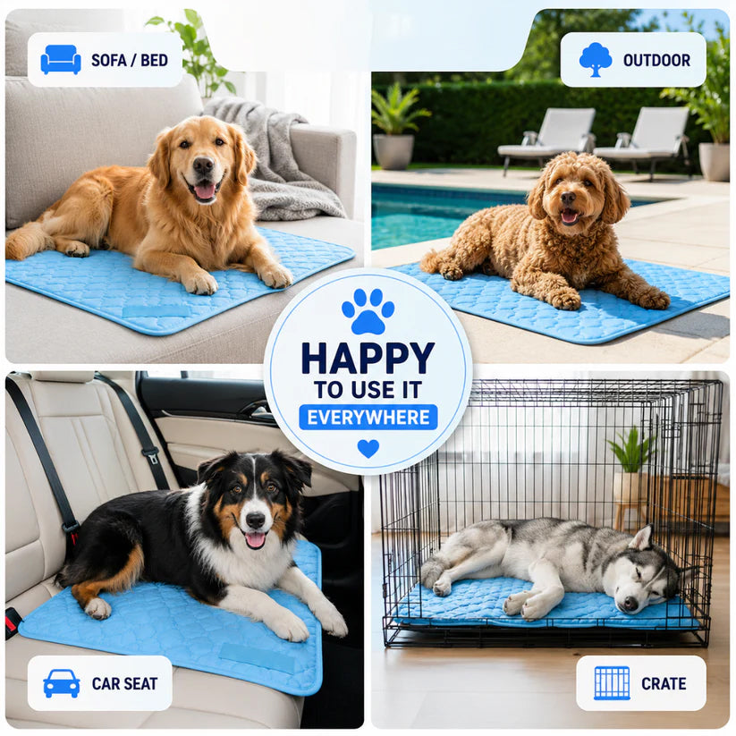 Cooling Mat That Finally Keeps Their Dogs Cool, Calm, and Comfortable